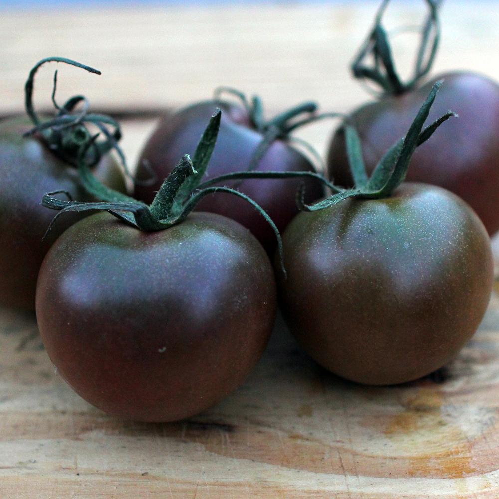 Cherry Tomato Seeds - Black Cherry - Sow True Seed