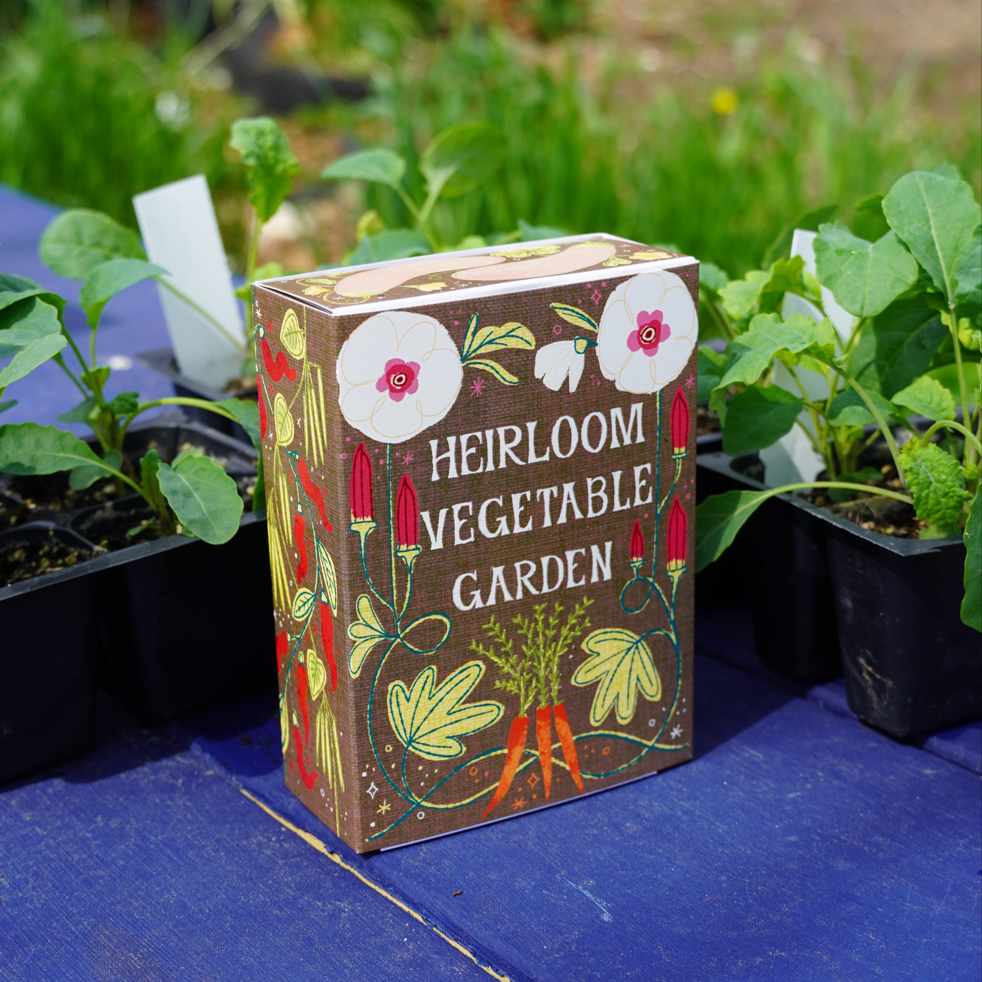 home garden vegetable seeds Heirloom Vegetable Garden Seed Collection Box – Sow True Seed Wholesale