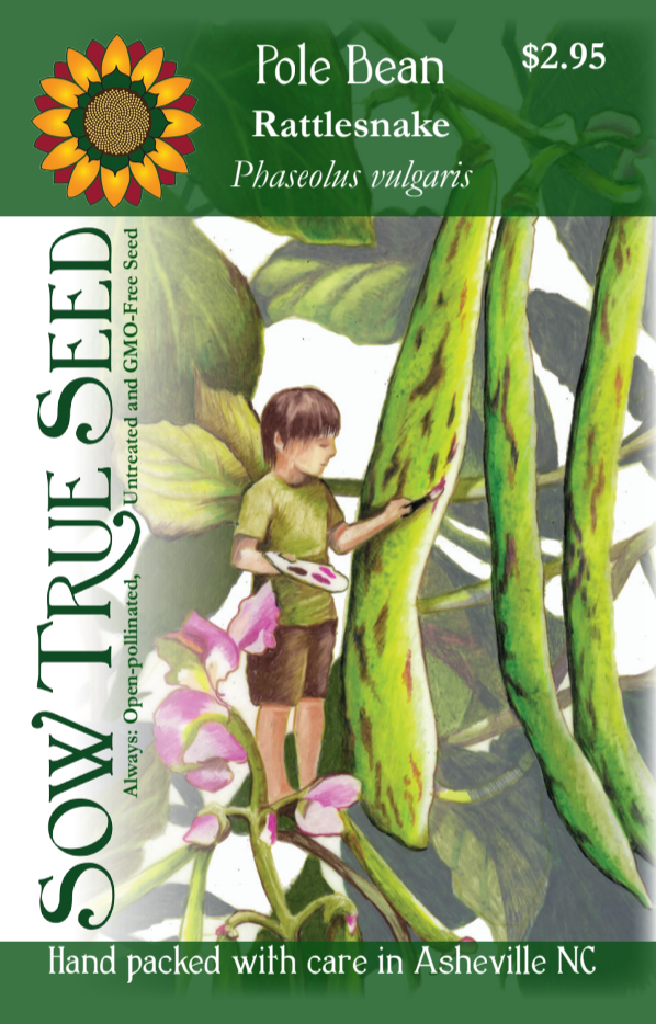 Pole Bean Seeds - Rattlesnake - Sow True Seed