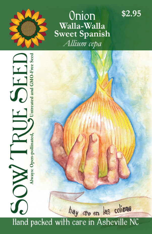 Onion Seeds - Walla-Walla Sweet Spanish - Sow True Seed