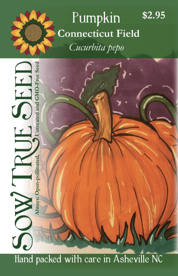 Pumpkin Seeds - Connecticut Field - Sow True Seed
