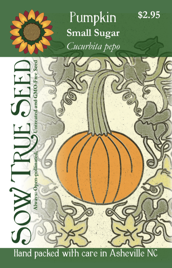 Pumpkin Seeds - Small Sugar - Sow True Seed