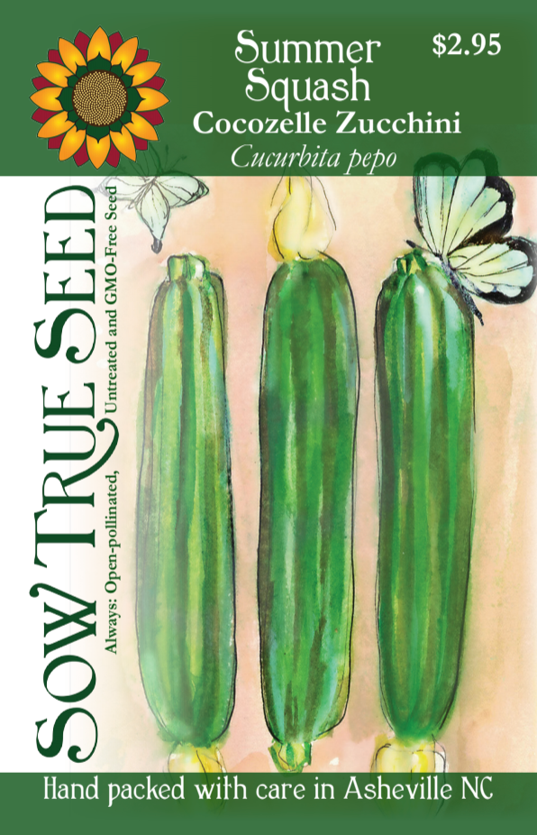 Summer Squash Seeds - Cocozelle Zucchini - Sow True Seed