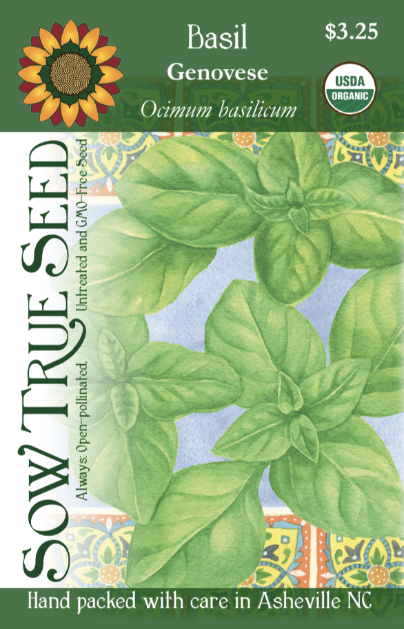 Basil Seeds - Genovese, ORGANIC - Sow True Seed