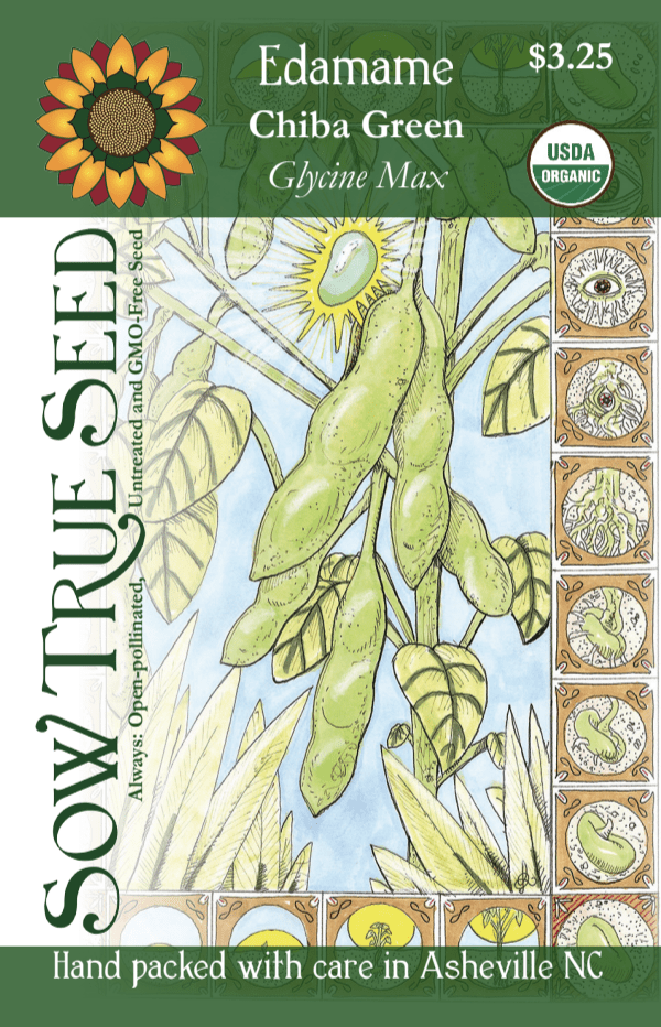 Soy Bean (Edamame) - Chiba Green, ORGANIC - Sow True Seed