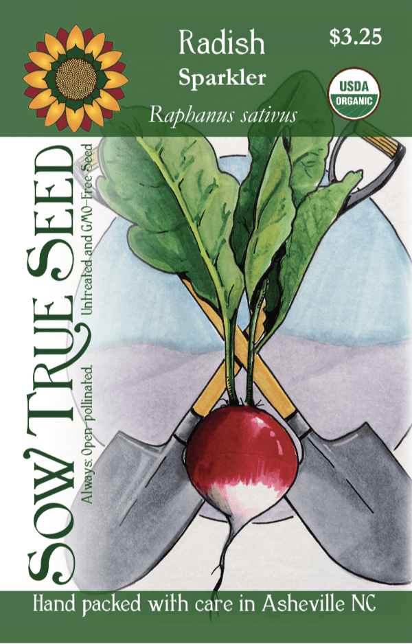 Radish Seeds- Sparkler, ORGANIC - Sow True Seed