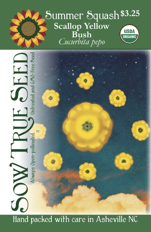 Summer Squash Seeds - Scallop Yellow Bush, ORGANIC - Sow True Seed