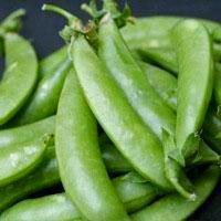 Snap Pea - Sugar Snap - Sow True Seed