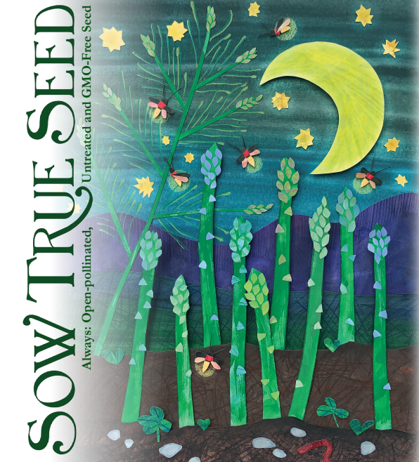 Mary Washington Asparagus Seeds - Sow True Seed