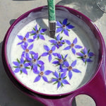 Flower Seed Mix - Edible Flowers - Sow True Seed