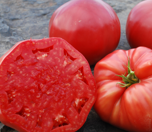 Slicing Tomato Seeds - Halladay's Mortgage Lifter - Sow True Seed
