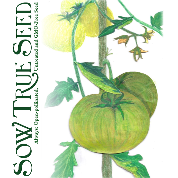 Slicing Tomato Seeds - Aunt Ruby's German Green, ORGANIC - Sow True Seed