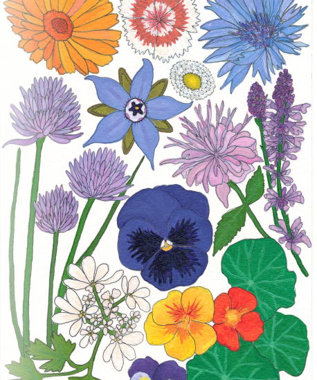Flower Seed Mix - Edible Flowers - Sow True Seed