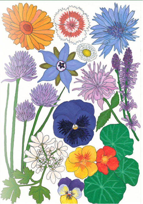 Flower Seed Mix - Edible Flowers - Sow True Seed