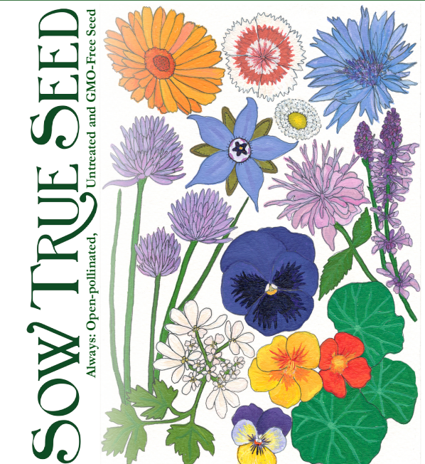 Flower Seed Mix - Edible Flowers - Sow True Seed