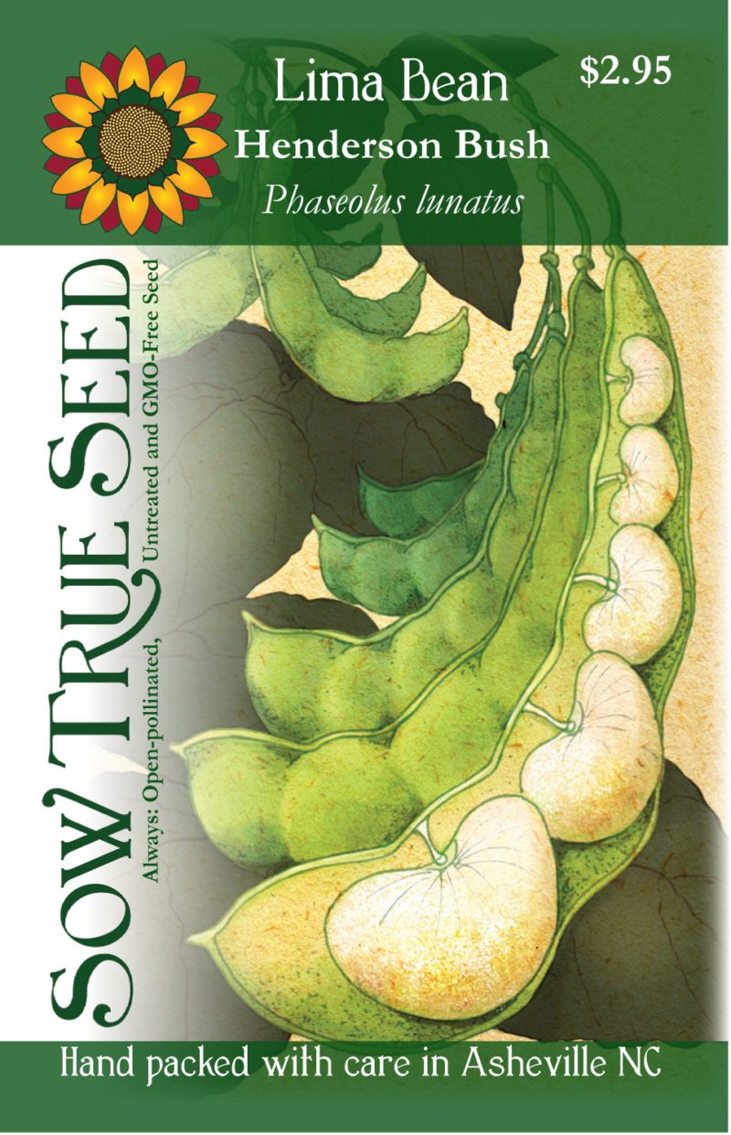 Lima Bean - Henderson Bush - Sow True Seed