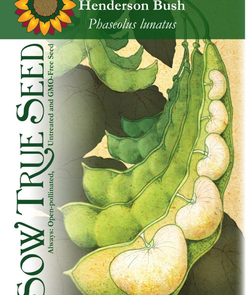 Lima Bean - Henderson Bush - Sow True Seed