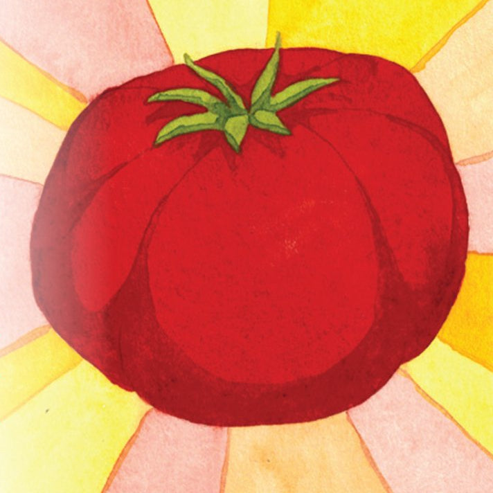 Slicing Tomato - Homestead - Sow True Seed