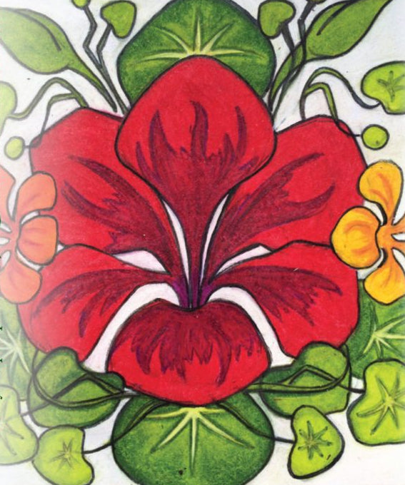 Nasturtium Seeds - Dwarf Jewel Mix - Sow True Seed