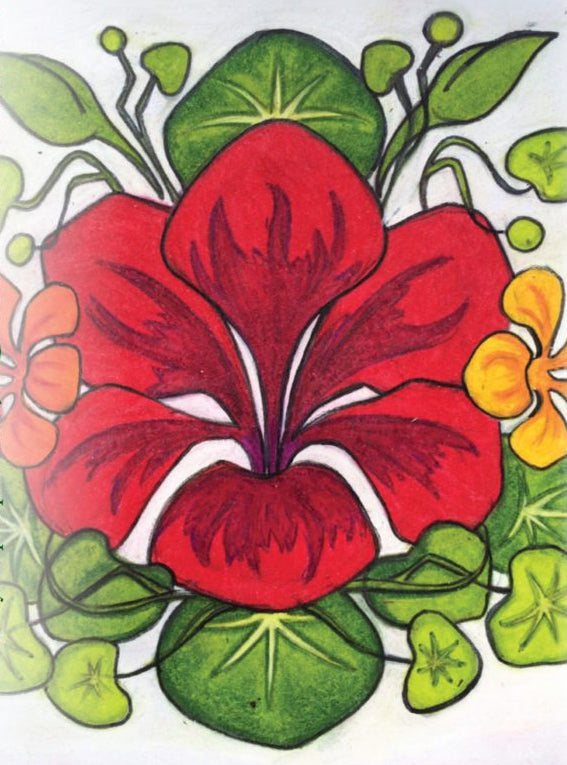 Nasturtium Seeds - Dwarf Jewel Mix - Sow True Seed