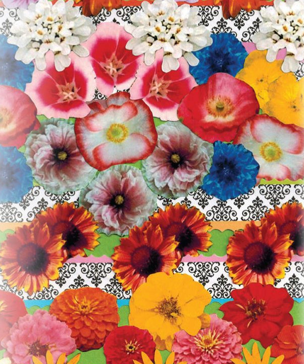 Flower Seed Mix - Cut Flower - Sow True Seed