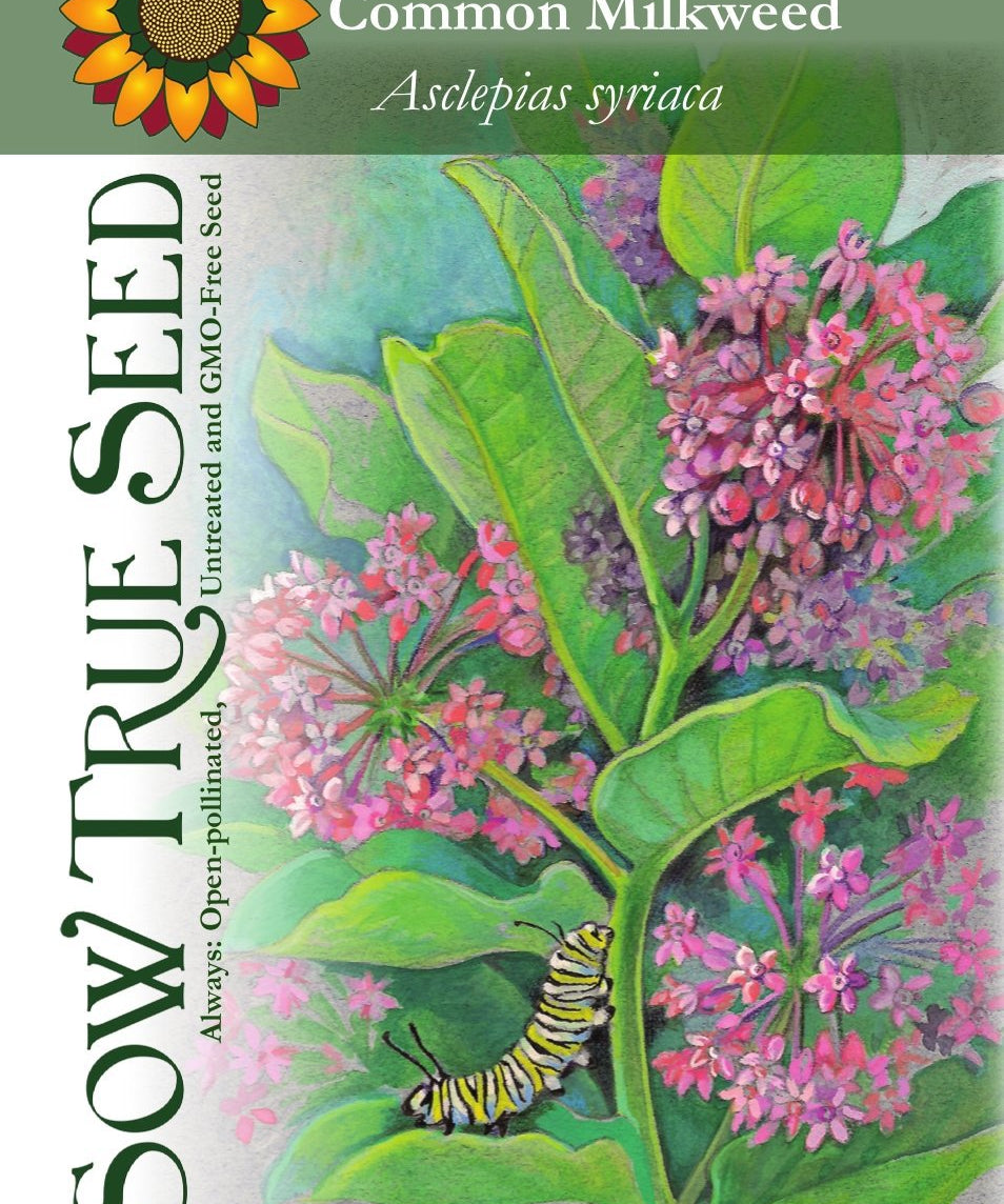 Milkweed Seeds - Common - Sow True Seed