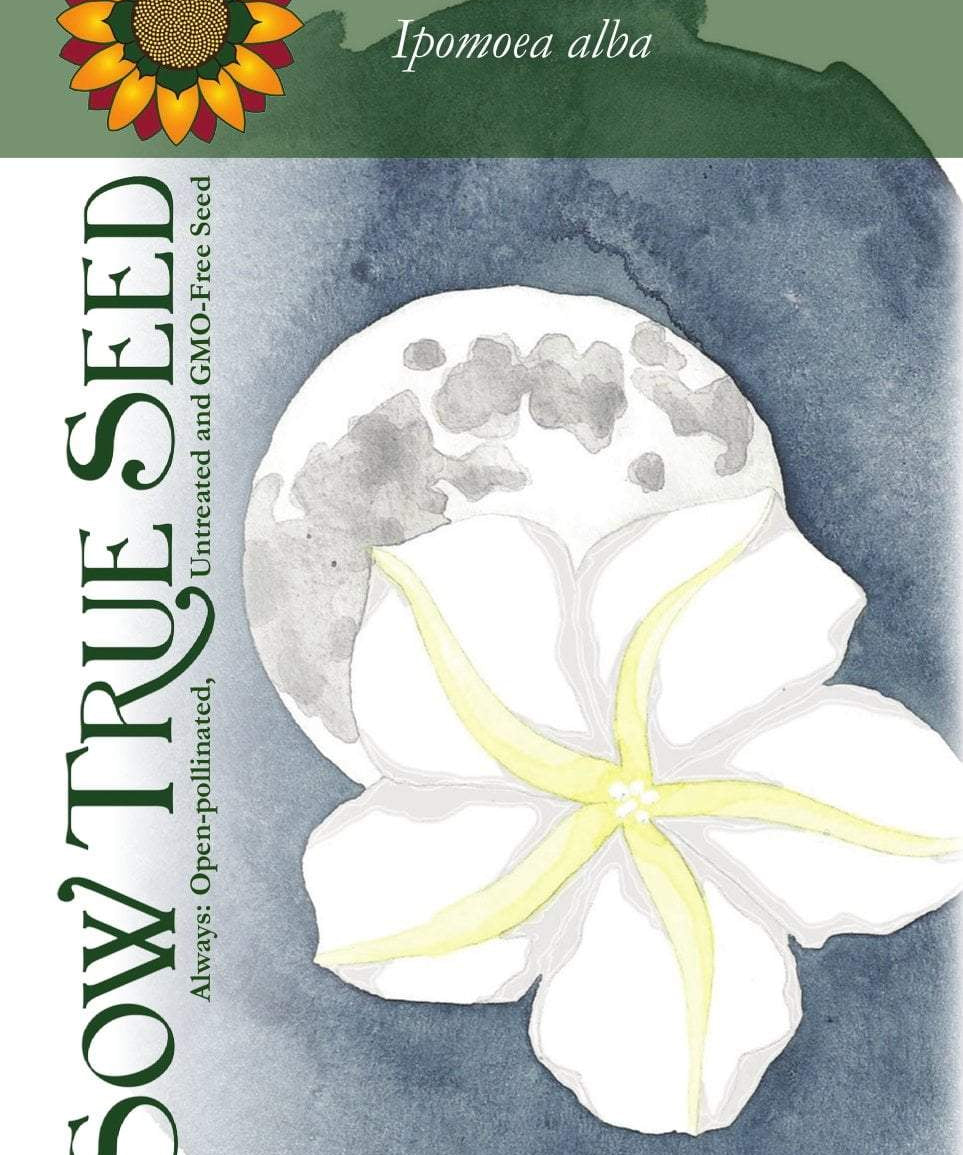 Moonflower Seeds - Sow True Seed