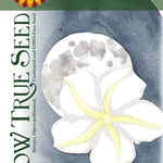 Moonflower Seeds - Sow True Seed
