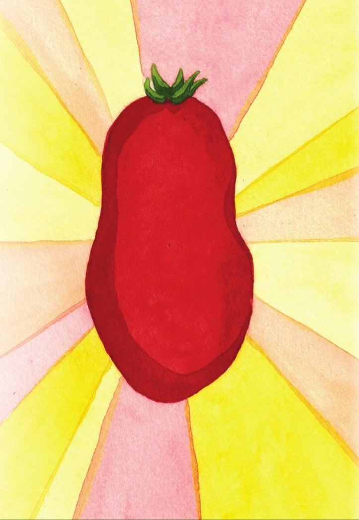 Paste Tomato Seeds - San Marzano - Sow True Seed