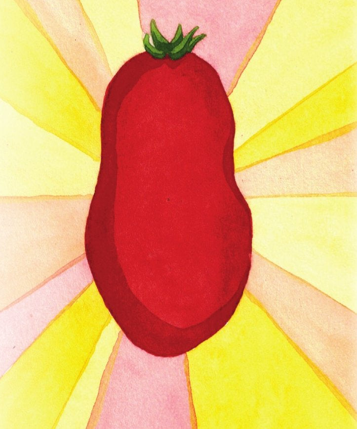 Paste Tomato Seeds - San Marzano - Sow True Seed