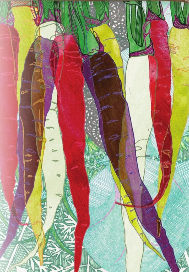 Carrot Seeds - Rainbow Blend - Sow True Seed