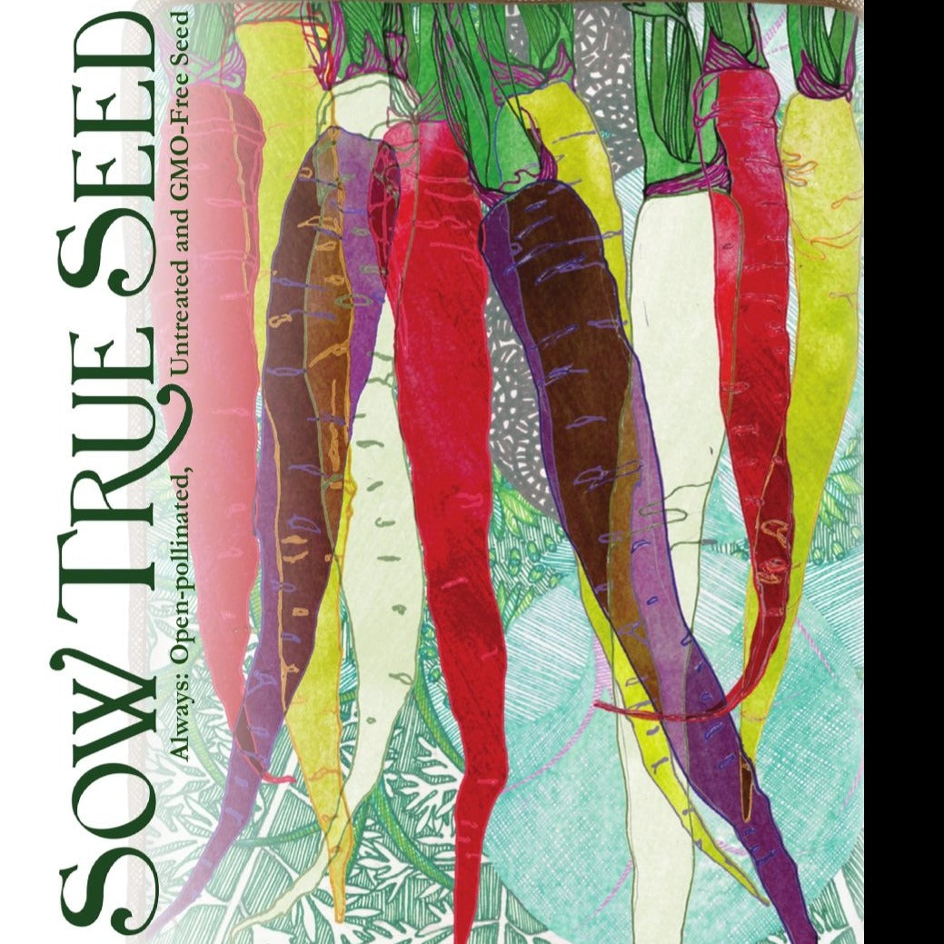 Carrot Seeds - Rainbow Blend - Sow True Seed