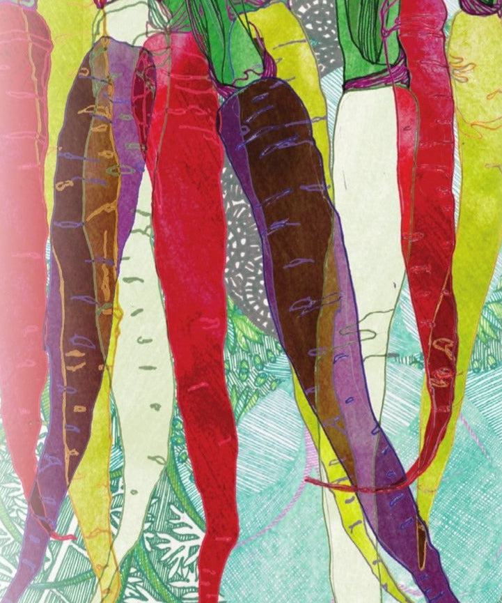 Carrot Seeds - Rainbow Blend - Sow True Seed