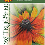 Rudbeckia Seeds - Gloriosa Daisy - Sow True Seed