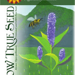 Anise Hyssop Seeds - Sow True Seed