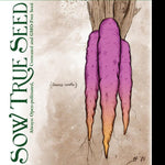 Carrot Seeds - Cosmic Purple - Sow True Seed