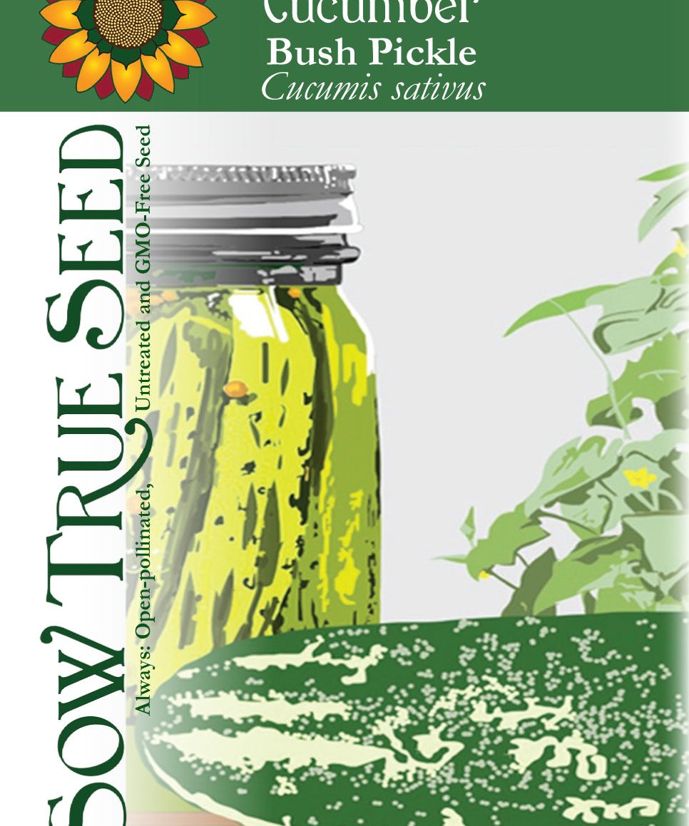 Pickling Cucumber Seeds - Bushy - Sow True Seed