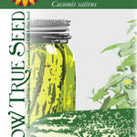 Pickling Cucumber Seeds - Bushy - Sow True Seed