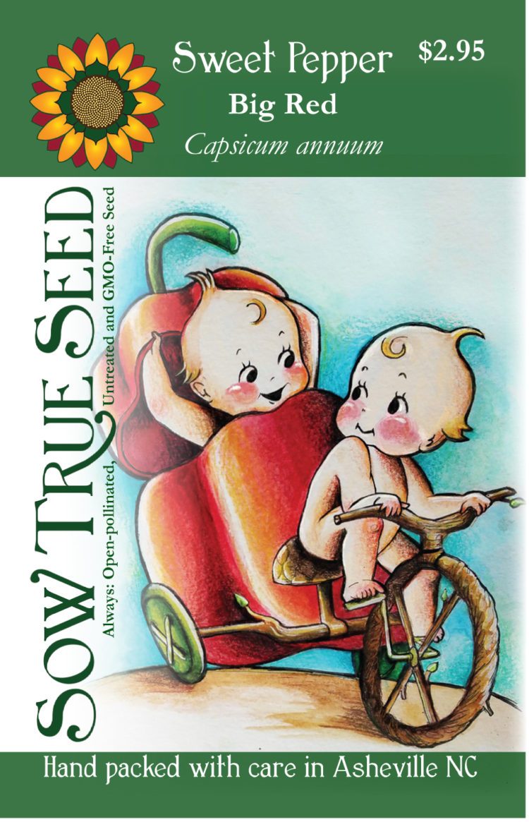 Sweet Pepper Seeds - Big Red - Sow True Seed