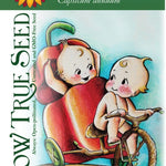Sweet Pepper Seeds - Big Red - Sow True Seed