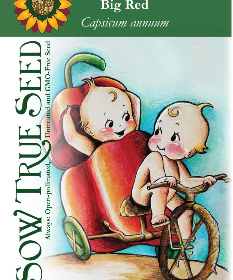 Sweet Pepper Seeds - Big Red - Sow True Seed