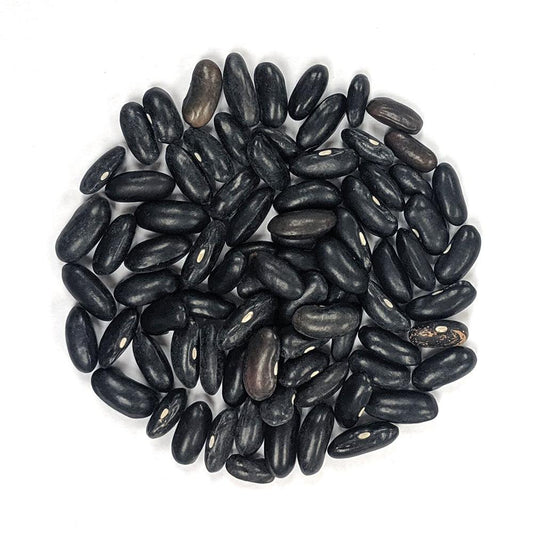 Bush Bean - Cherokee Wax - Sow True Seed