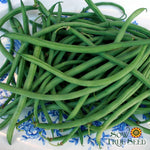 Bush Bean - Maxibel Haricot Vert, ORGANIC - Sow True Seed