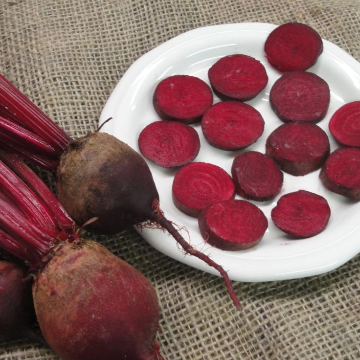 Beet Seeds - Detroit Dark Red, ORGANIC - Sow True Seed