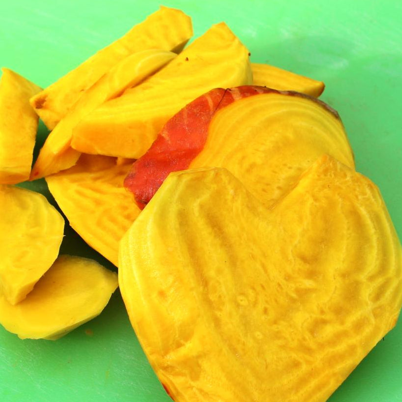 Beet Seeds - Golden Detroit - Sow True Seed