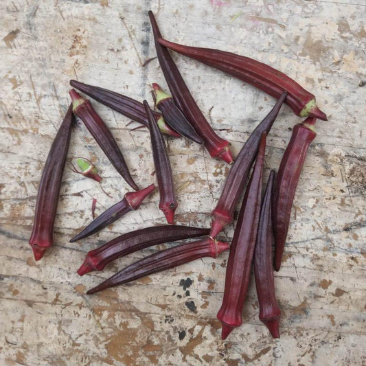 Okra Seeds - Red Burgundy - Sow True Seed