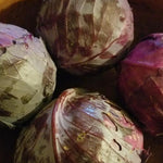 Cabbage Seeds - Red Acre - Sow True Seed