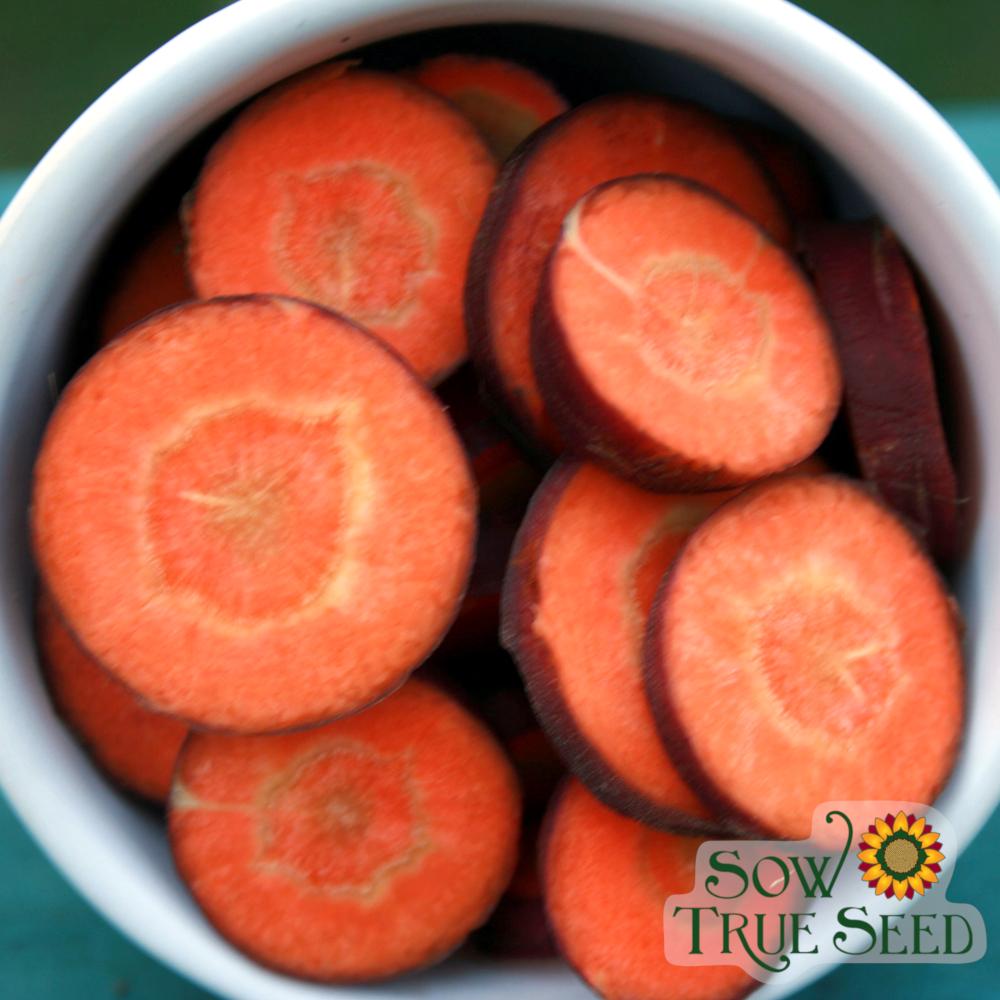 Carrot Seeds - Cosmic Purple - Sow True Seed