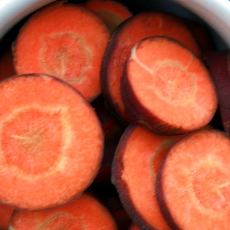 Carrot Seeds - Cosmic Purple - Sow True Seed