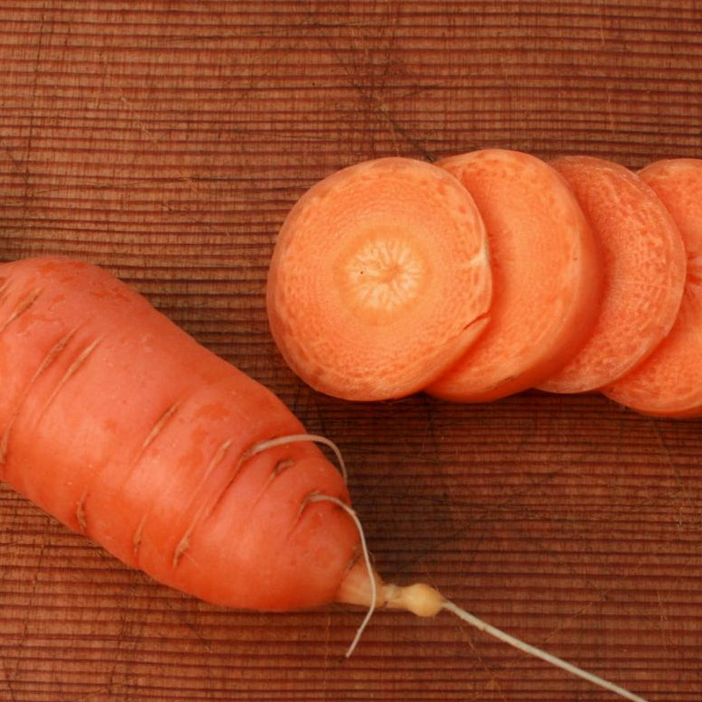 Carrot Seeds - Red Core Chantenay - Sow True Seed